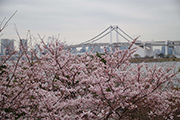 地球までひとっ走り