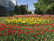 spring colors
