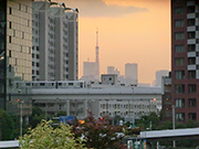 東京タワーとゆりかもめ