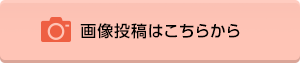 画像投稿はこちらからのボタン