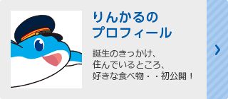 りんかるのプロフィールの画像