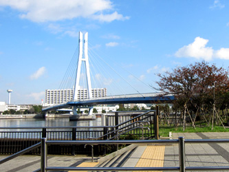 東雲水辺公園