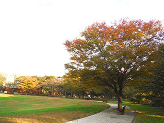 夢の島公園