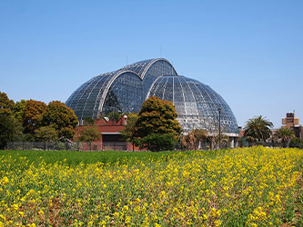 夢の島熱帯植物館