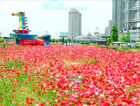 シンボルプロムナード公園01