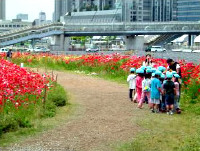 シンボルプロムナード公園03