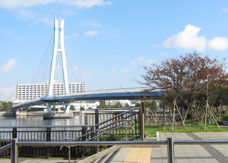 東雲水辺公園