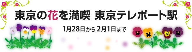 東京の花を満喫　東京テレポート駅（1月28日から2月1日まで）