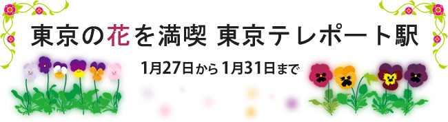 東京の花を満喫　東京テレポート駅（1月28日から2月1日まで）